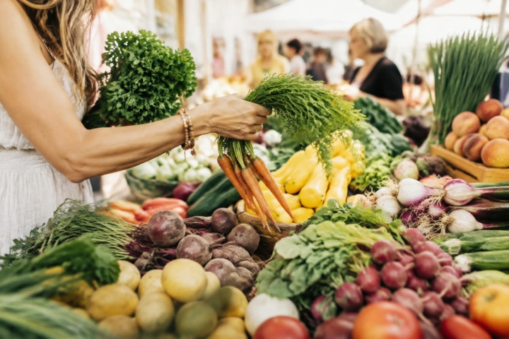 Food & Nutrition: Foundations for More Informed Daily Eating